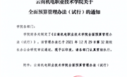 易游官方网站全面预算管理办法(试行)